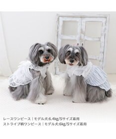 PET PARADISE ペットパラダイス ストライプ ワンピース 小型犬