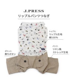 PET PARADISE J.PRESS リップル パンツつなぎ 小型犬