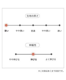 PET PARADISE スヌーピー メッシュタンクトップ 《バケーション柄》 中型犬