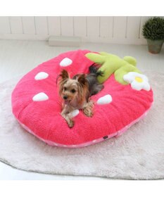 ペットパラダイス 犬 クッション(92×90cm) 濃桃, ピンク（濃）, -