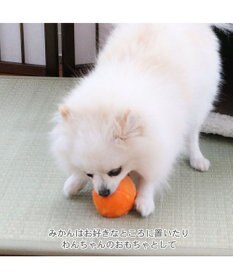 PET PARADISE ペットパラダイス キルトこたつハウス 40cm