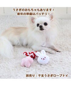 犬服 卯 犬 猫 帽子 ウサギ 【小型犬】 ピンク ホワイト / PET