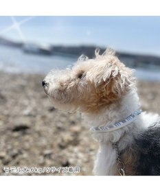 PET PARADISE クールリング 犬 クールネック ひんやり 28℃クールリング 【３Ｓ】 リフレクター 水色 ベージュ  反射材付き