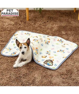  ディズニー トイ・ストーリー ボア ブランケット 《総柄》