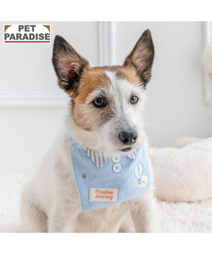  ペットパラダイス やさしい スタイ 《気球柄》 小型犬