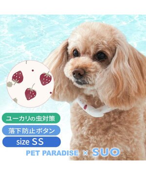  ペットパラダイス 28℃クールリング  《いちご》 ＳＳ 小型犬