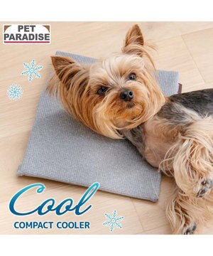  ペットパラダイス  コンパクトクーラー グレー 2026