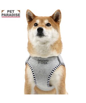  リサとガスパール ベストハーネス 《エッフェル》 ＳＭ