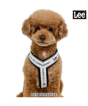  Lee ロゴ アクティブ ハーネス ＳＳ 小型犬