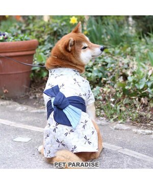 犬 服 お祭り はっぴ 〔中型犬〕 きつね面 ペットウエア ドッグウエア