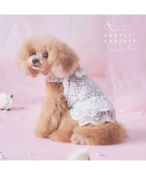  cherircouture 総レース キャミソール 小型犬