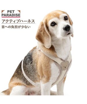  ペットパラダイス くまちゃん アクティブハーネス ＳＭ 中型犬