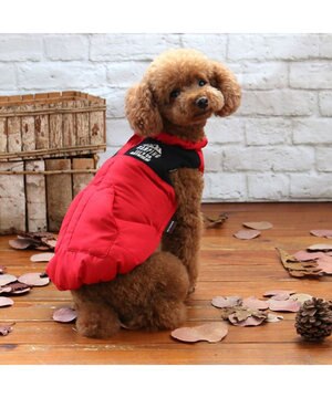  ペットパラダイス 遠赤外線 エアベスト  《レッド》 小型犬