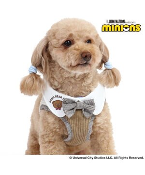  犬 ハーネス ミニオン ベストハーネス 【Ｓ】 ティム