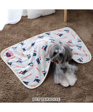  リサとガスパール ブランケット 《頬杖柄》