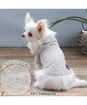  J.PRESS 杢 ウェーブシャツ 《グレー》 小型犬