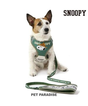  スヌーピー ハーネス＆リード ビーグルスカウト 【Ｓ】 小型犬 50周年