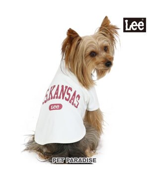  犬の服 犬 Ｌｅｅ tシャツ 【小型犬】 カレッジ