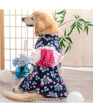  ペットパラダイス 浴衣 《紫陽花》 中型犬 大型犬