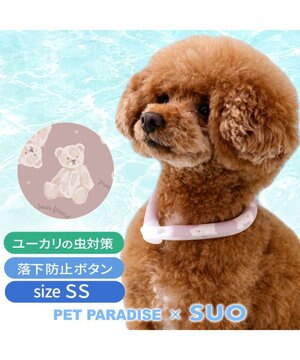  ペットパラダイス 28℃クールリング 《くま》 ＳＳ 小型犬