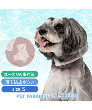  ペットパラダイス 28℃クールリング  《くま》 Ｓ 小型犬
