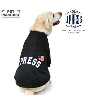  J.PRESS ブラック スタジャン 中型犬 大型犬