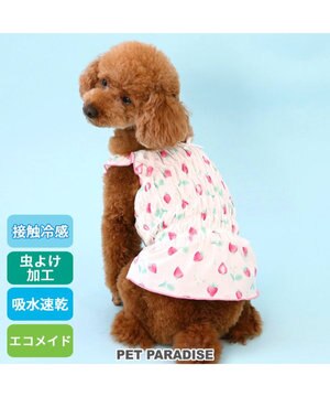  ペットパラダイス エコメイド キャミソール 《苺柄》 小型犬