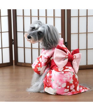 ペットパラダイス 獅子舞 コート 小型犬 / PET PARADISE