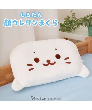  しろたん 顔 ウレタン枕