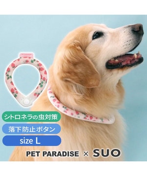 ペットパラダイス 28℃クールリング SUO 《くま柄》 〔Ｌ〕 大型犬 / PET PARADISE | 【通販】雑貨とペット用品の通販サイト |  マザーガーデン＆ペットパラダイス