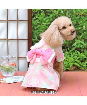 ペットパラダイス 絞り風 浴衣 《朝顔》 中型犬 大型犬 / PET