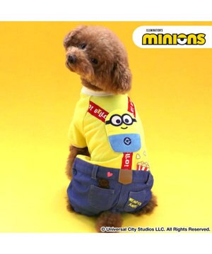  ミニオン ボブ サスペンダー上下セット風 パンツつなぎ 小型犬
