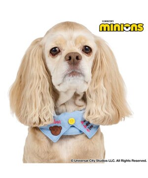  ミニオン デニム襟付き首輪 ＳＭ 中型犬
