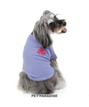 犬の服 犬 冬服 パーカー J.PRESS 【小型犬】 カレッジ ロゴ