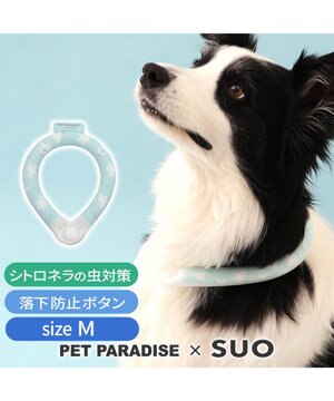  ペットパラダイス 28℃クールリング SUO 《くま柄》 〔Ｍ〕 中型犬