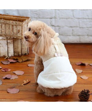  ペットパラダイス 遠赤外線 エアベスト 《ホワイト》 小型犬