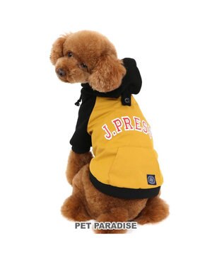 犬王　JJ J.PRESS スタジャン スターズ＆ストライプス 小型犬 / PET