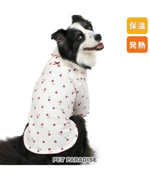 ペットパラダイス ペティヒート Tシャツ 《苺柄》 中型犬 大型犬