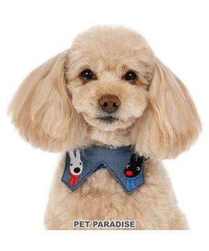 リサとガスパール ハート襟付 首輪 SS / PET PARADISE