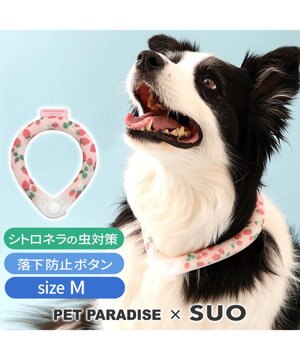  ペットパラダイス 28℃クールリング SUO 《いちご柄》 〔Ｍ〕 中型犬