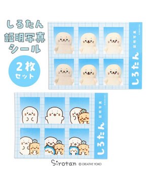  しろたん 証明写真シール セット 《しろたん/お友だち》