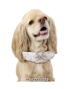  花柄 襟付首輪 おしゃれ 【ＳM】 中型犬