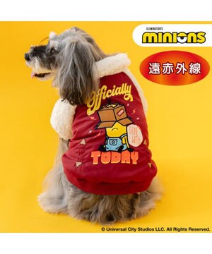  ミニオン ケビン スタジャン 小型犬