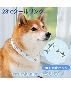  ペットパラダイス ２８℃ クールリング ＳＭ 《サメ柄》