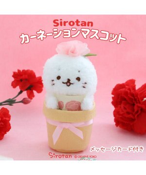  しろたん カーネーションマスコット 《ピンク》 単品