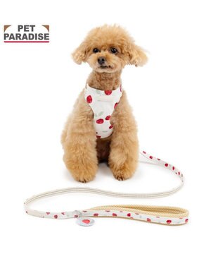  ペットパラダイス スリム ハーネス＆リード 《苺総柄》 Ｓ 小型犬