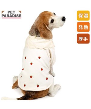  ペットパラダイス ペティヒートDAN Tシャツ 《いちご柄》 中型犬 大型犬