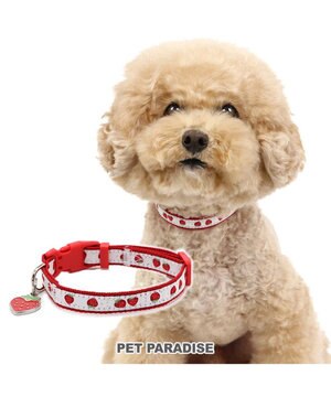  ペットパラダイス 苺チャーム付き首輪 ＳＳ