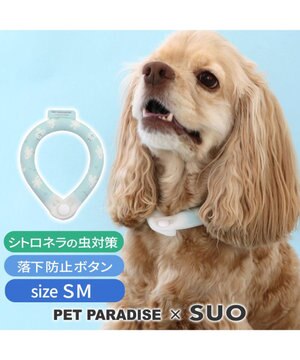  ペットパラダイス 28℃クールリング SUO 《くま柄》 〔ＳＭ〕 中型犬
