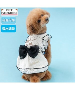  ディズニー ミニーマウス クール ワンピース 《ドット柄》 小型犬